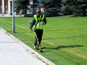 Maintenance of green spaces